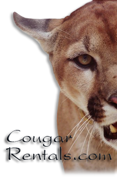CougarRentals.com Cougar